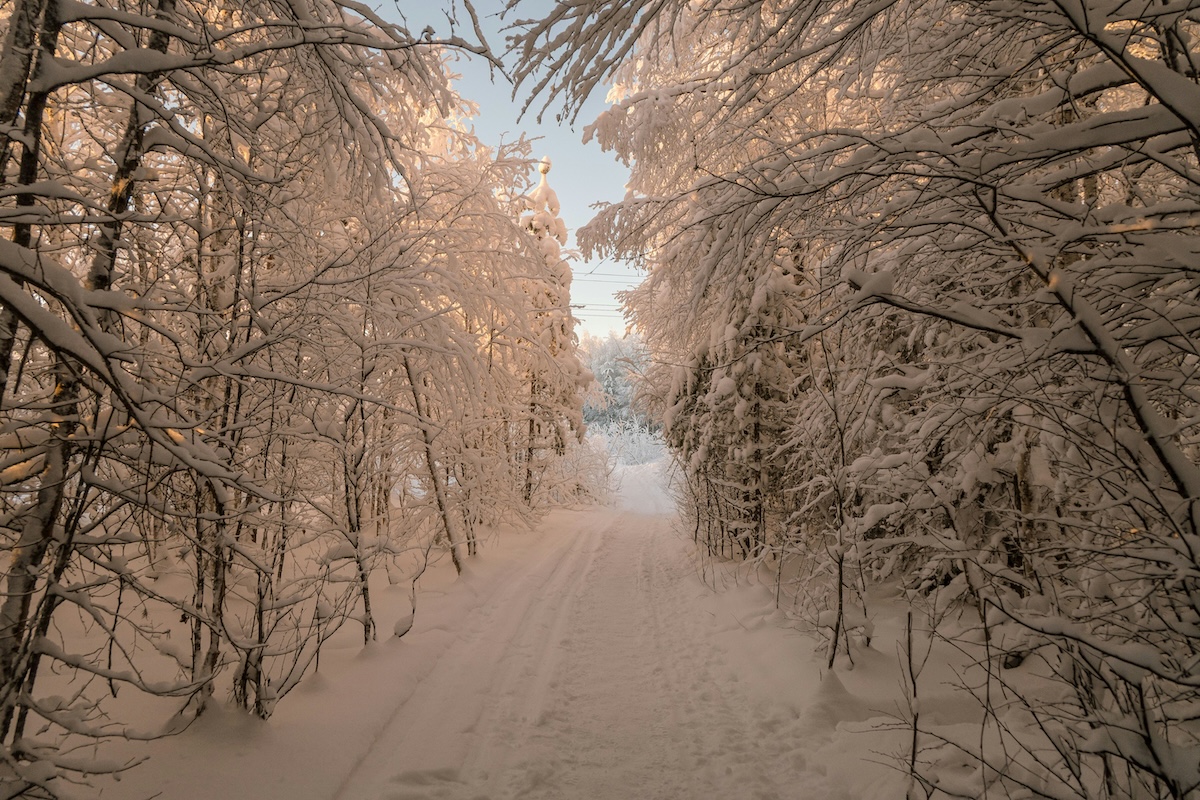 Verschneite Winterlandschaft in Schweden - Tipps für den schwedischen Winter