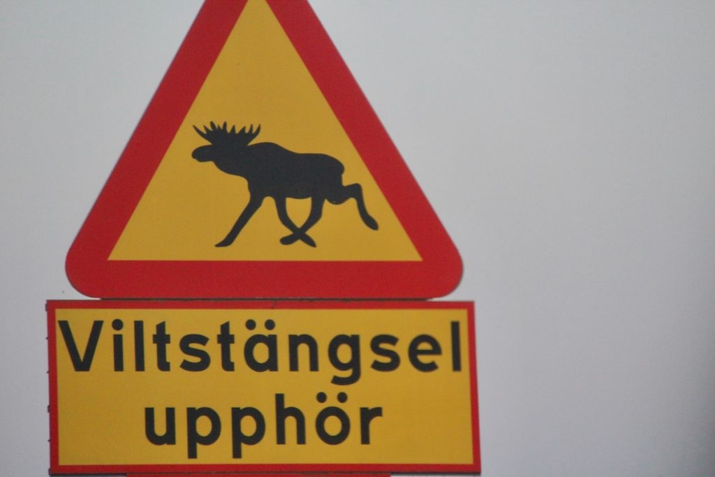 Auto und Führerschein in Schweden