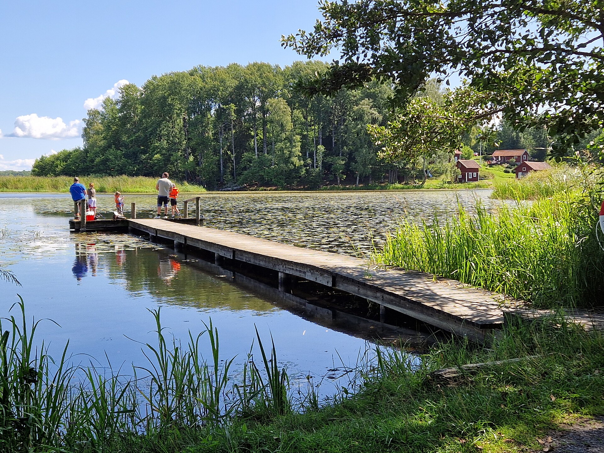 Angeln in Schweden: Angler auf einem Holzsteg im Mälaren bei Västerås, am Ufer Schilf und rote Holzhäuser