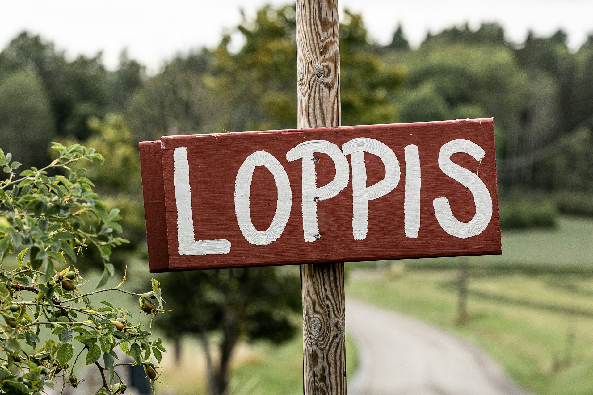 Bezahlen in Schweden: handgemaltes Loppis-Schild an einer Landstraße, auf dem Flohmarkt zählt oft noch Bargeld