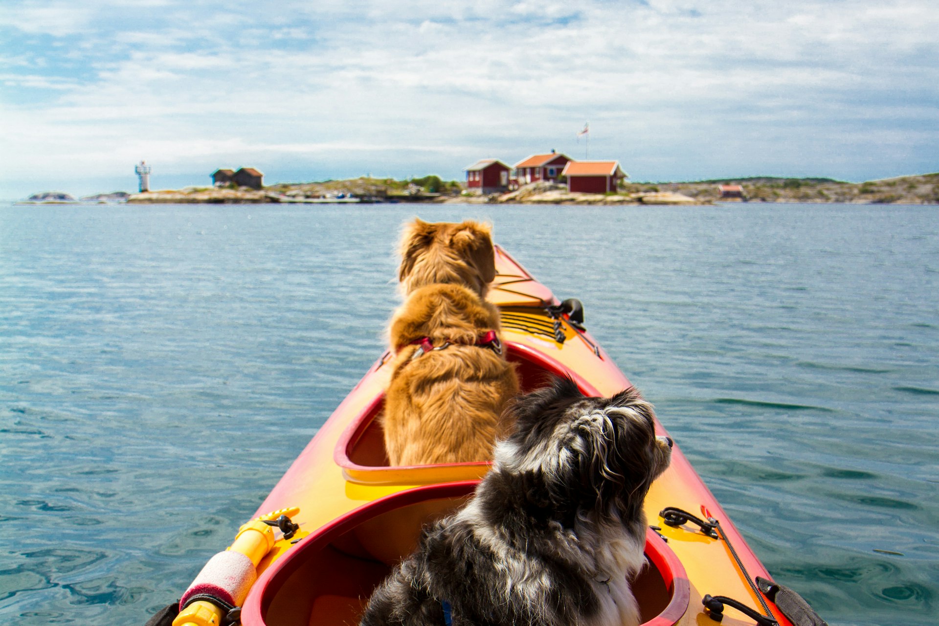 Mit Hund nach Schweden: zwei Hunde im Kajak vor roten Holzhäusern in den Schären bei Grebbestad