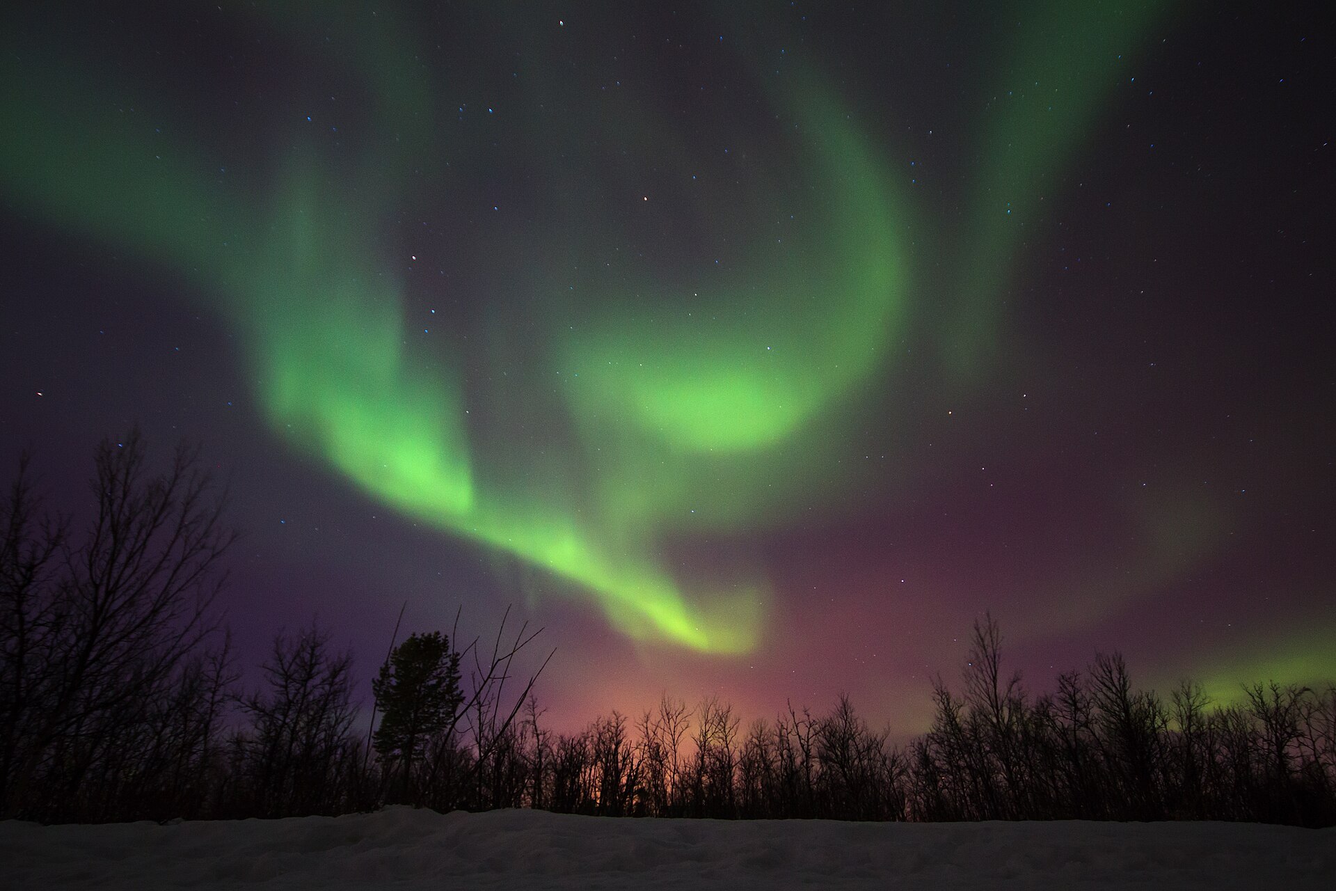 Polarlichter in Schweden: grünes und rötliches Nordlicht über verschneitem Wald bei Kiruna