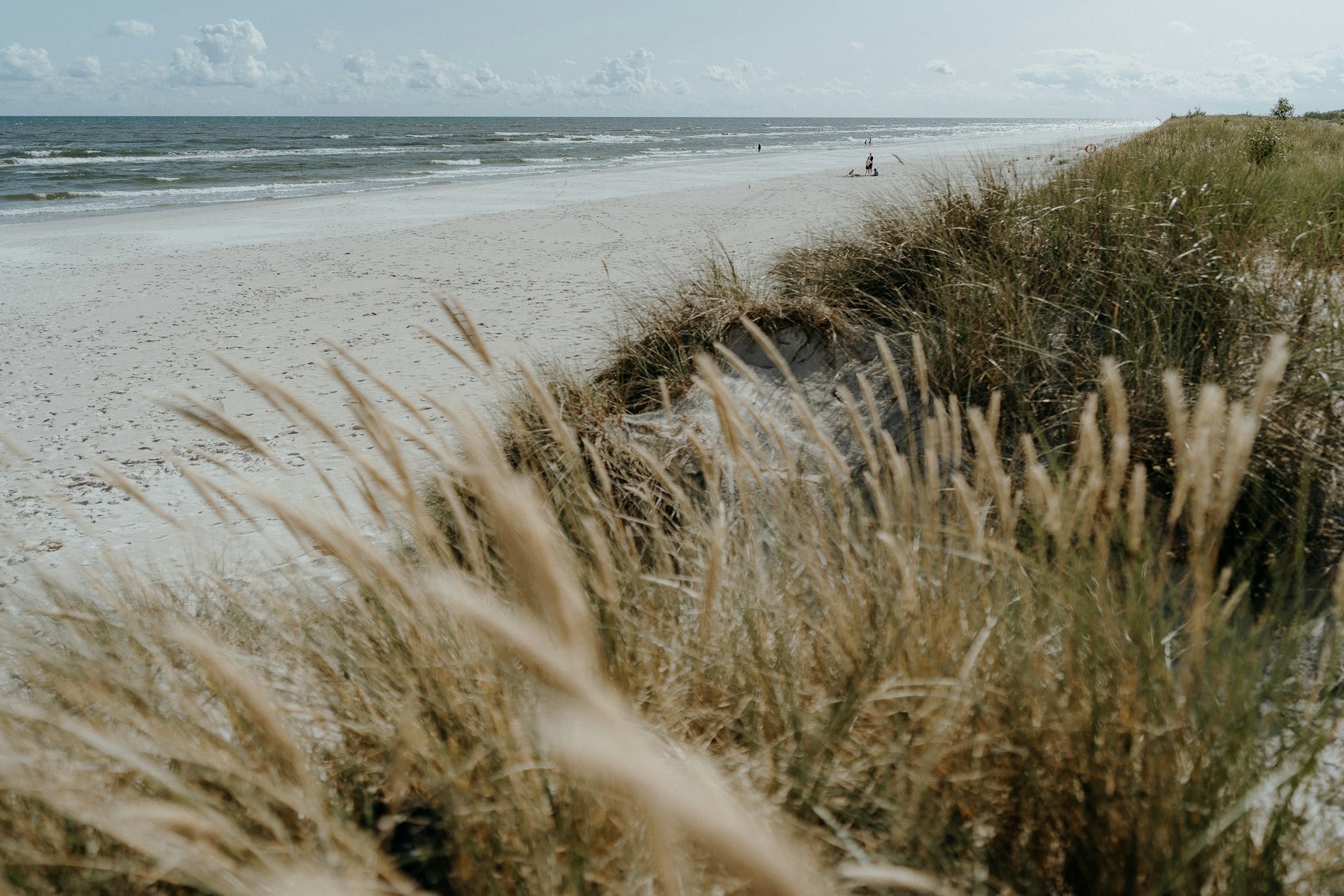 Strand Sandhammaren in Österlen, Skåne, mit Dünengras und Ostsee