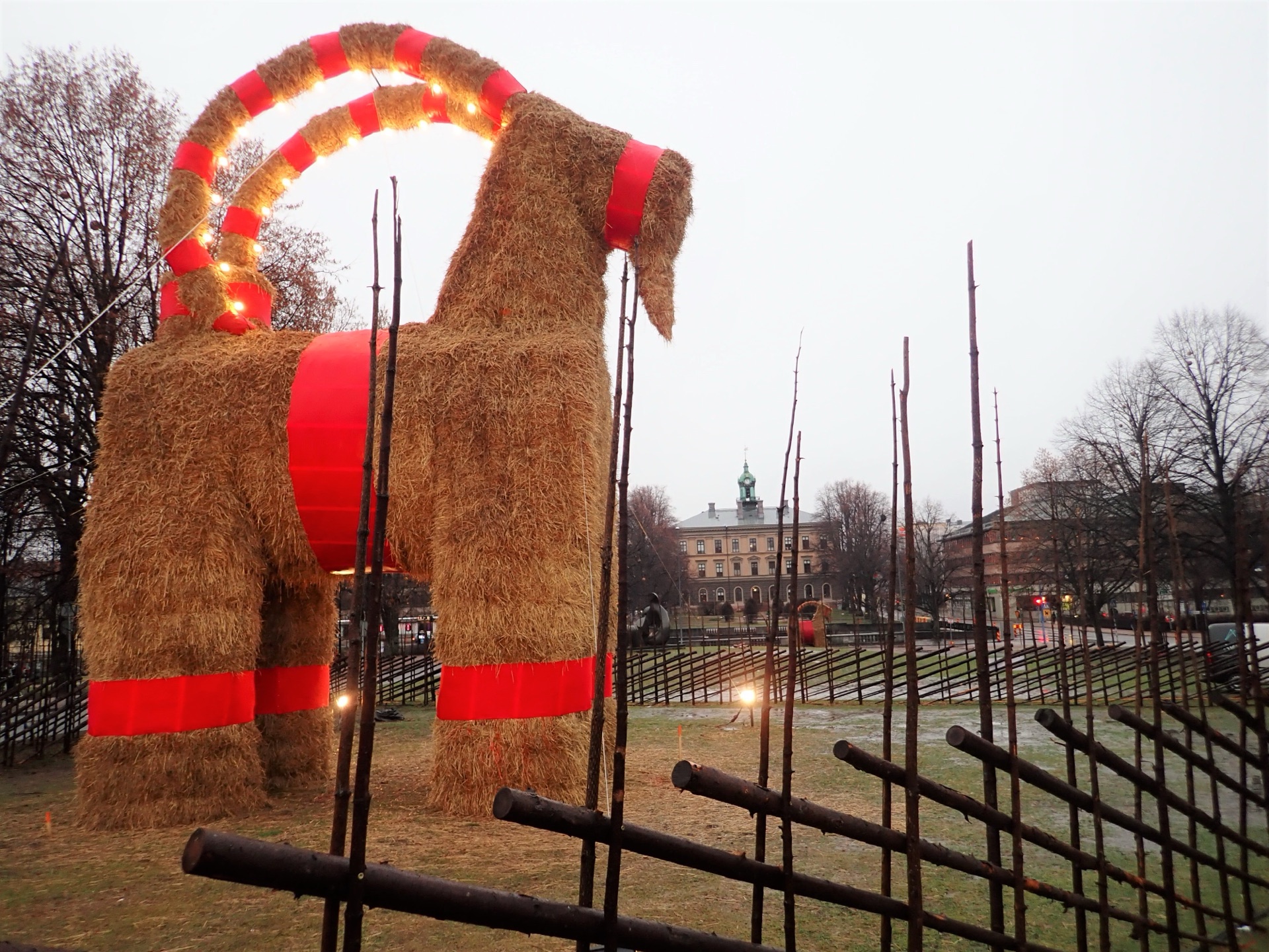 Der Gävlebock aus Stroh mit roten Bändern und Lichterkette vor dem Stadtbild von Gävle