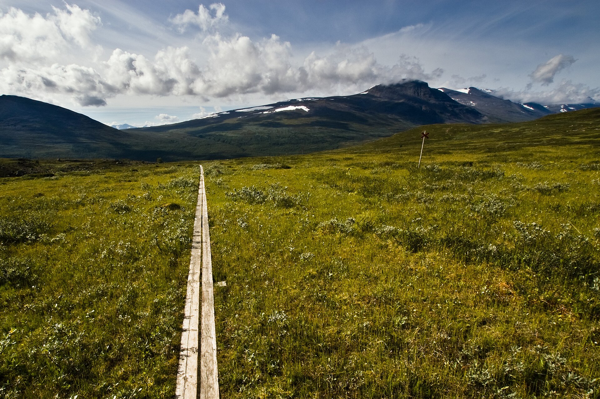 Holzbohlenweg des Kungsleden führt durch grüne Fjälltundra auf Berge im Hintergrund zu