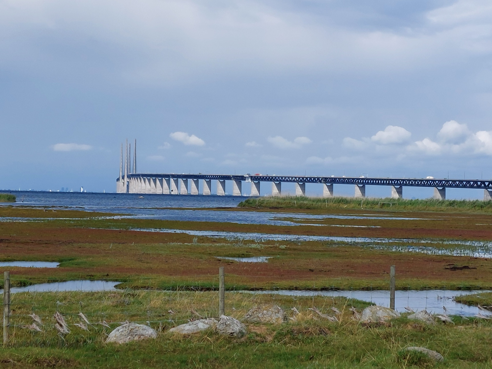 Öresundbrücke von der schwedischen Küste aus gesehen, davor Salzwiese und Wasser